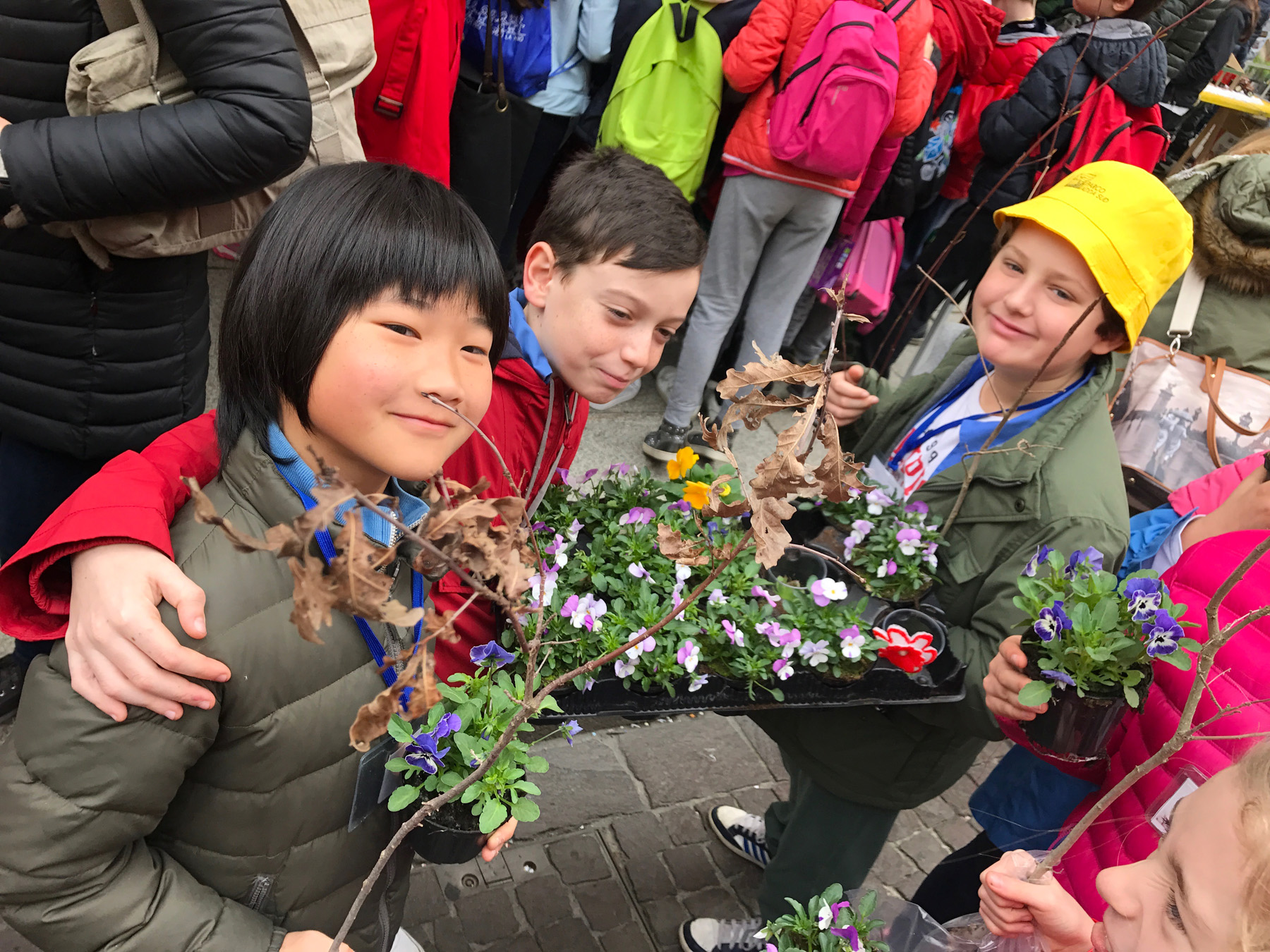 Festa Dell’albero, è Arrivata La Primavera